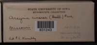Image Associated With the Occurence